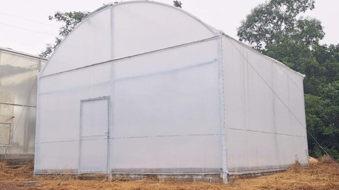 Câmara de termoterapia pode ajudar a melhorar o potencial da produção no estado Câmara de termoterapia pode ajudar a melhorar o potencial da produção no estado