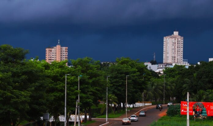Evite ficar embaixo de árvores durante as chuvas