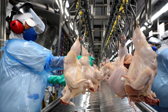 O Paraná é o único estado com isenção total (100%) para carnes bovina, suína, peixe, frango e ovos
